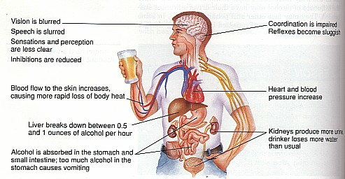 mumbai in centres alcoholic rehabilitation