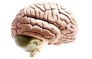 leaky brain syndrome