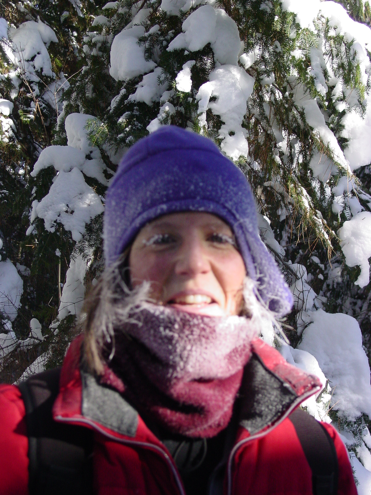 Deb snow queen