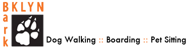 Dog Boarding Greenpoint Brooklyn Dog Boarding Greenpoint Brooklyn
