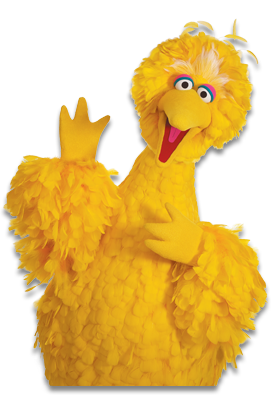 bigbird-resized-600.png