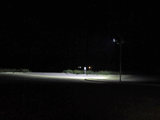 Solar Flood Light at Night