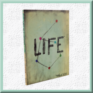 Life in 6 Words Outreach Book