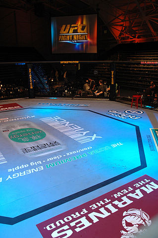 319px-UFC-Octagon-USMCPhoto