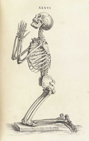 skeleton