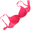 bra.gif bra.gif