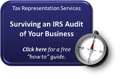 survining audit business