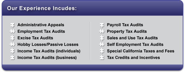 Tax Audit