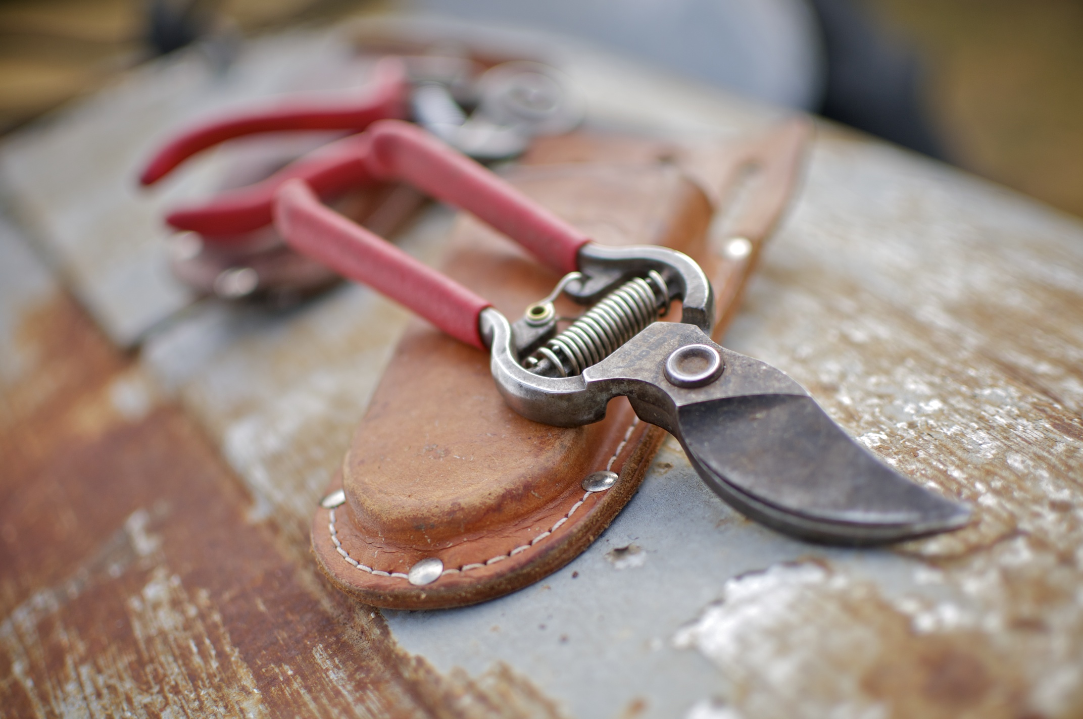 corona tools bp 3160