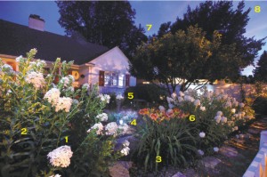 moon gardeing moon gardening