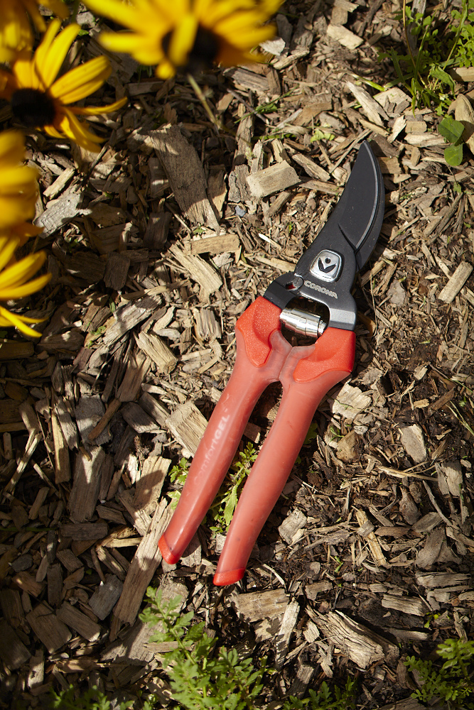Corona_Comfortgel_pruner