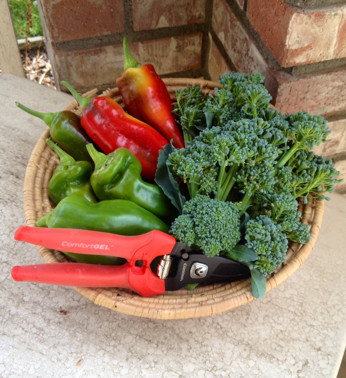 veggie_shear