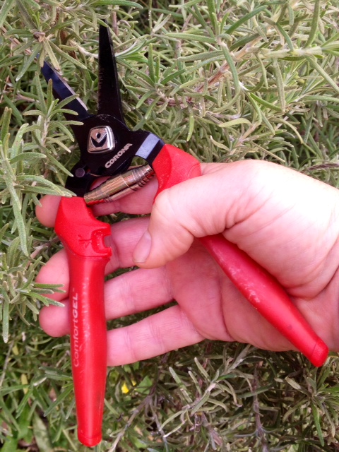 CG_snips_med