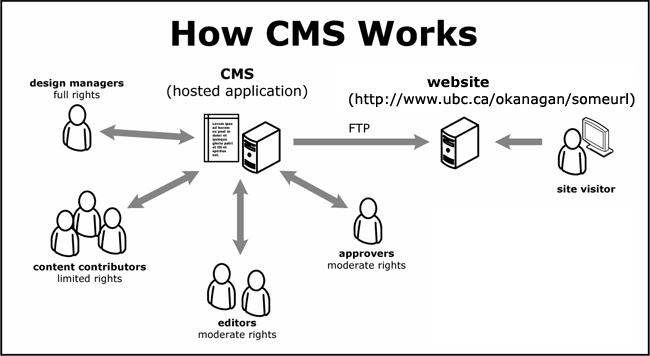 What Is Content Management System Cms