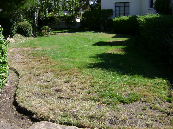 Healthy green lawns require dethatching