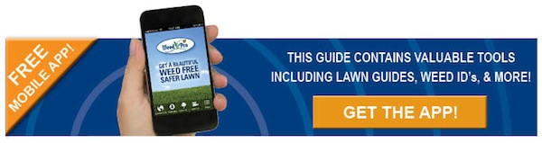 Download Our Mobile Phone App!