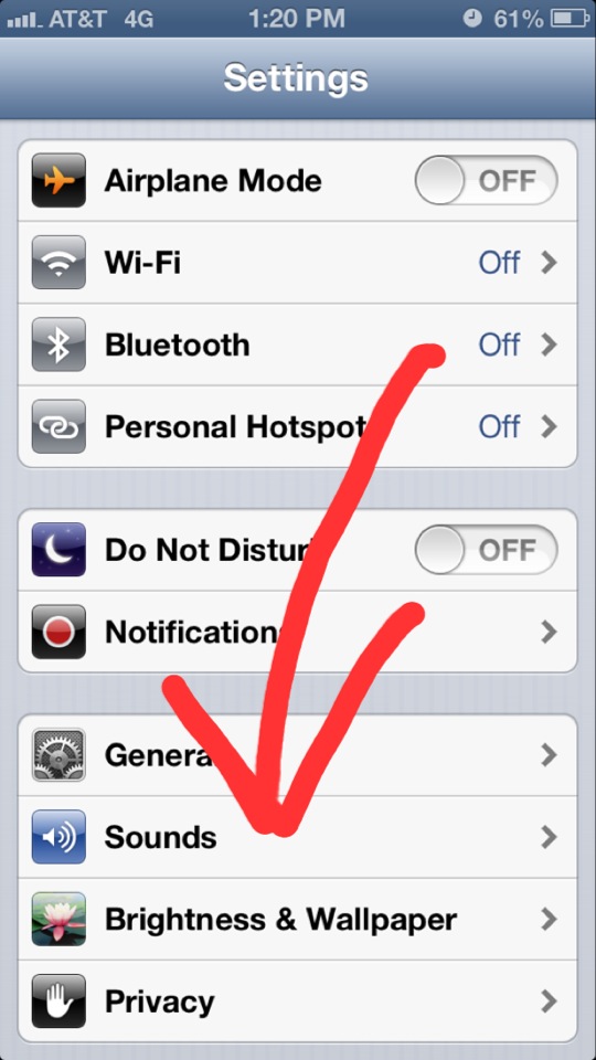 It Support NSI iPhone 5