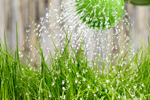 lead-nurturing
