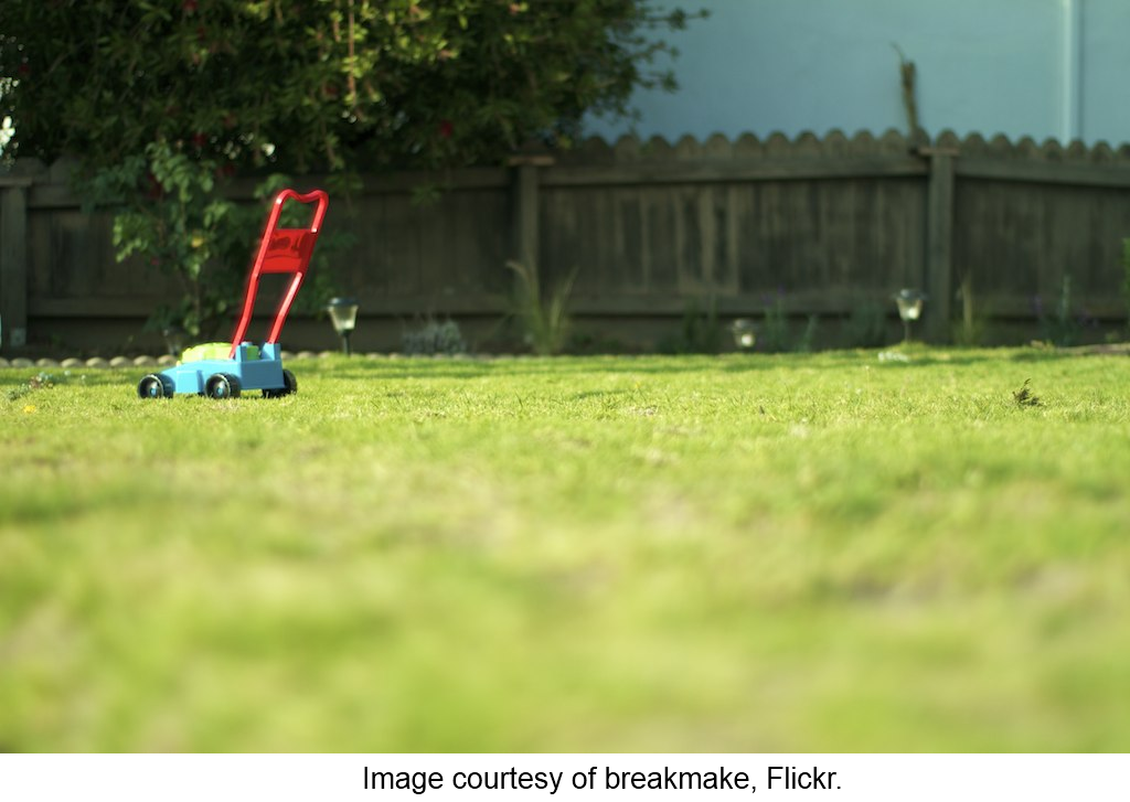 7 Tips for Starting (and Growing) Your Lawn Maintenance Business
