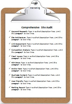 site audit