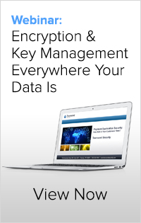 Click to request the webinar: Encryption & Key Management Everywhere Your Data Is