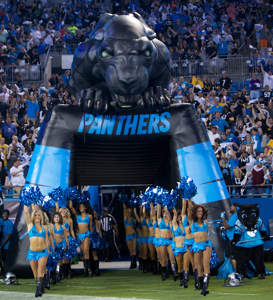 carolina Panther outfits