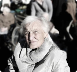 Add image Alt Text Add image Alt Text