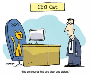 3 Effective Communication Strategies for Cat-Like Managers