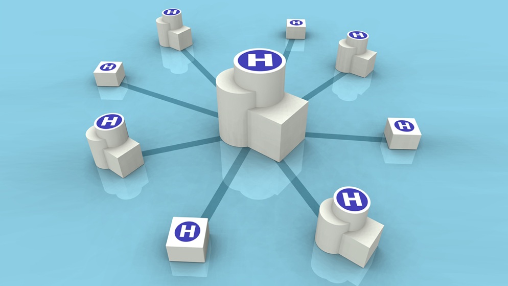 White Paper Download: "Building an Integrated Delivery Network? Start Here"