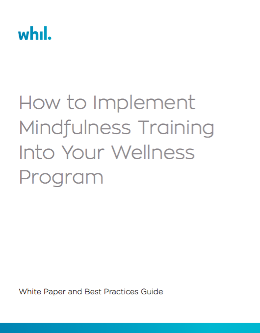Implementing Mindfulness eBook