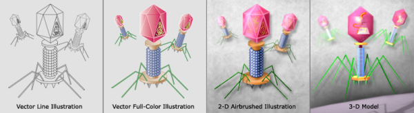 bacteriophage IllustrationStyles resized 600