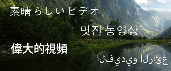 WeVideo supports international character input