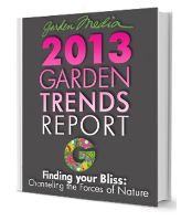 2013 Trends Book Script resized 174