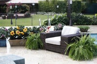 Tropic Escape Hibiscus from Costa Farms illustrates outdoor living trend in garden marketing.
