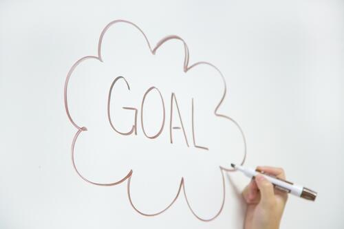 set goals PR, how to set goals in public relations, goals in a PR campaign, goals and gardening public relations, gardening marketing tips, garden media group