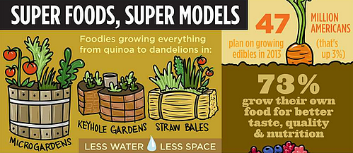 Garden Trends For 2014  From The Garden Media Group  Infographic    Today s Garden Center