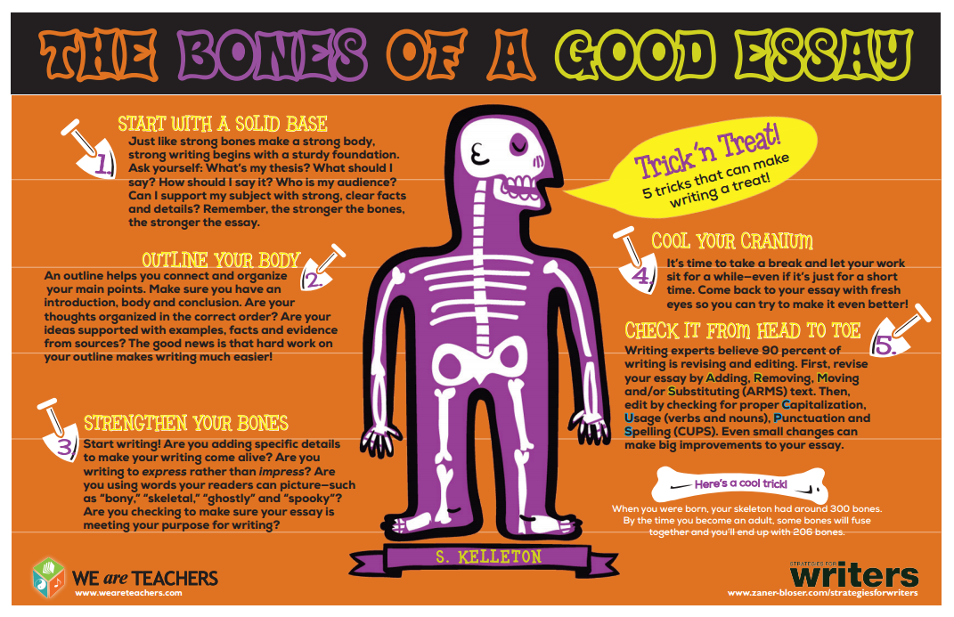 essay bones essay bones