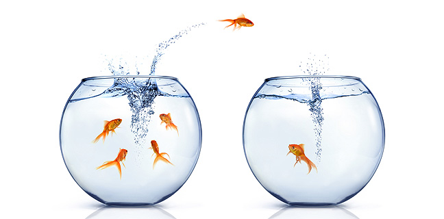 migration-ventes-externes-internes.jpg?t=1414181120922