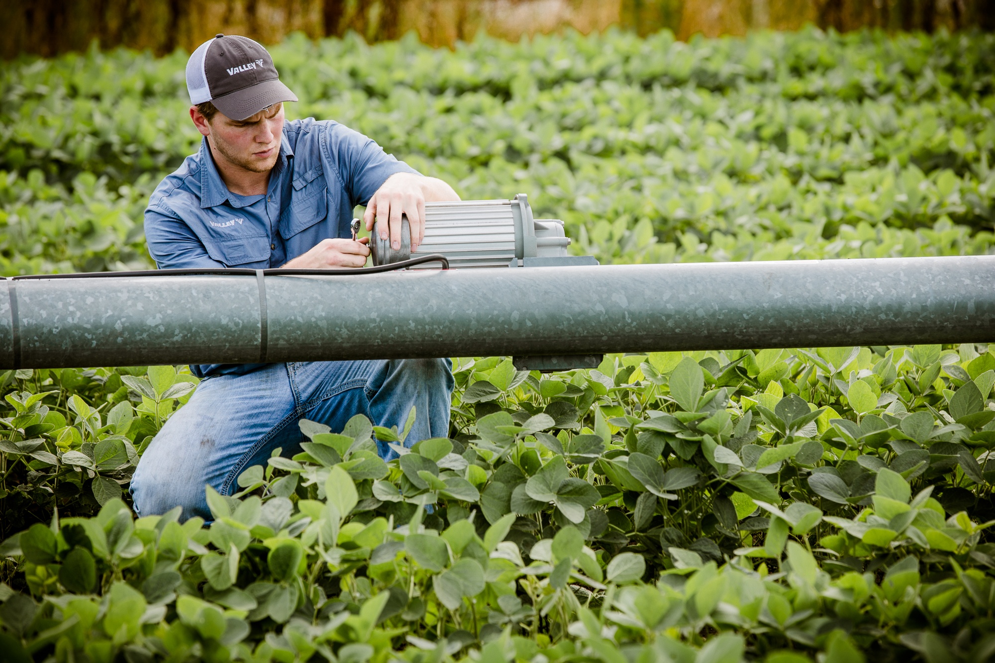center pivot precision irrigation - farmer