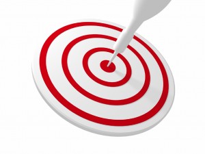 target describe the image
