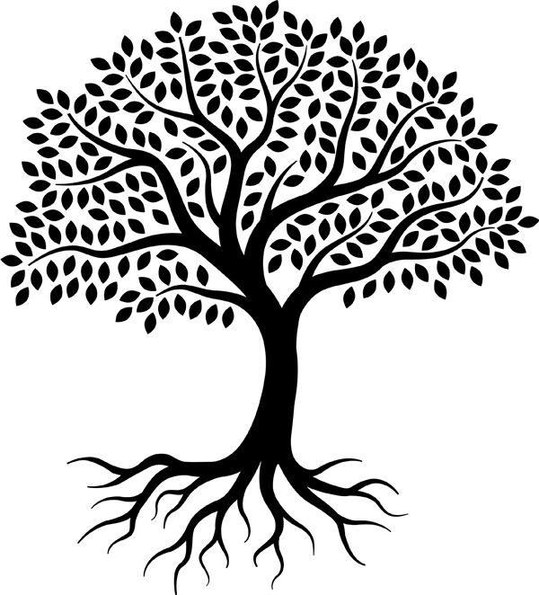 Website VS Trees