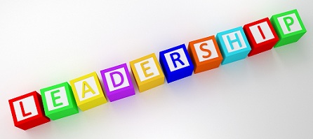 Desarrollar tu capacidad de liderazgo empresarial te ayudará a crear equipos más eficientes y productivos donde todos te acepten como su líder