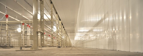 Hog Finishing Barn Interior