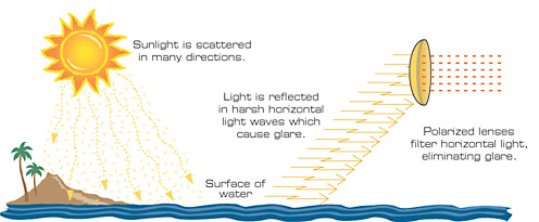 Horizontal hotsell polarization glasses