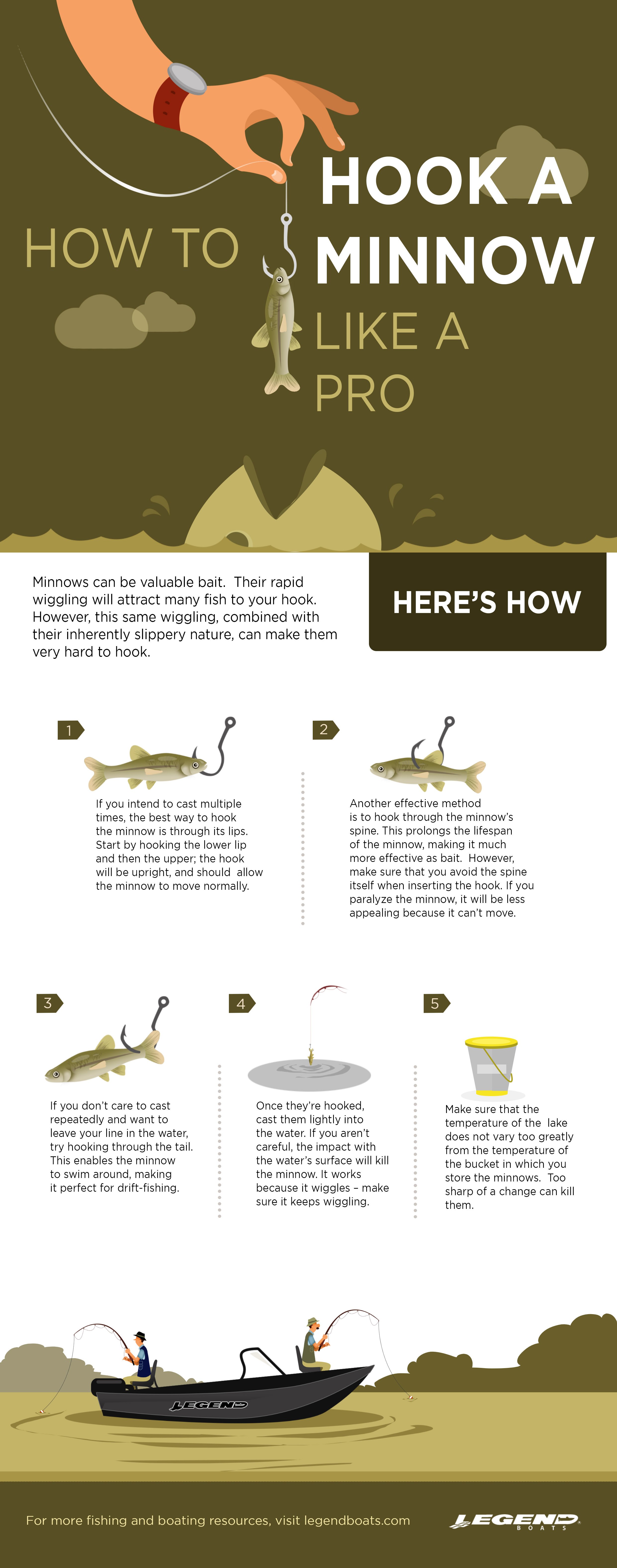 How To Hook A Minnow For Bait Angling Journal