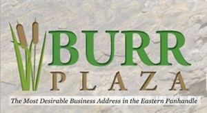 Burr logo