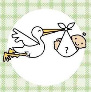 baby_stork5 asdfsdfa