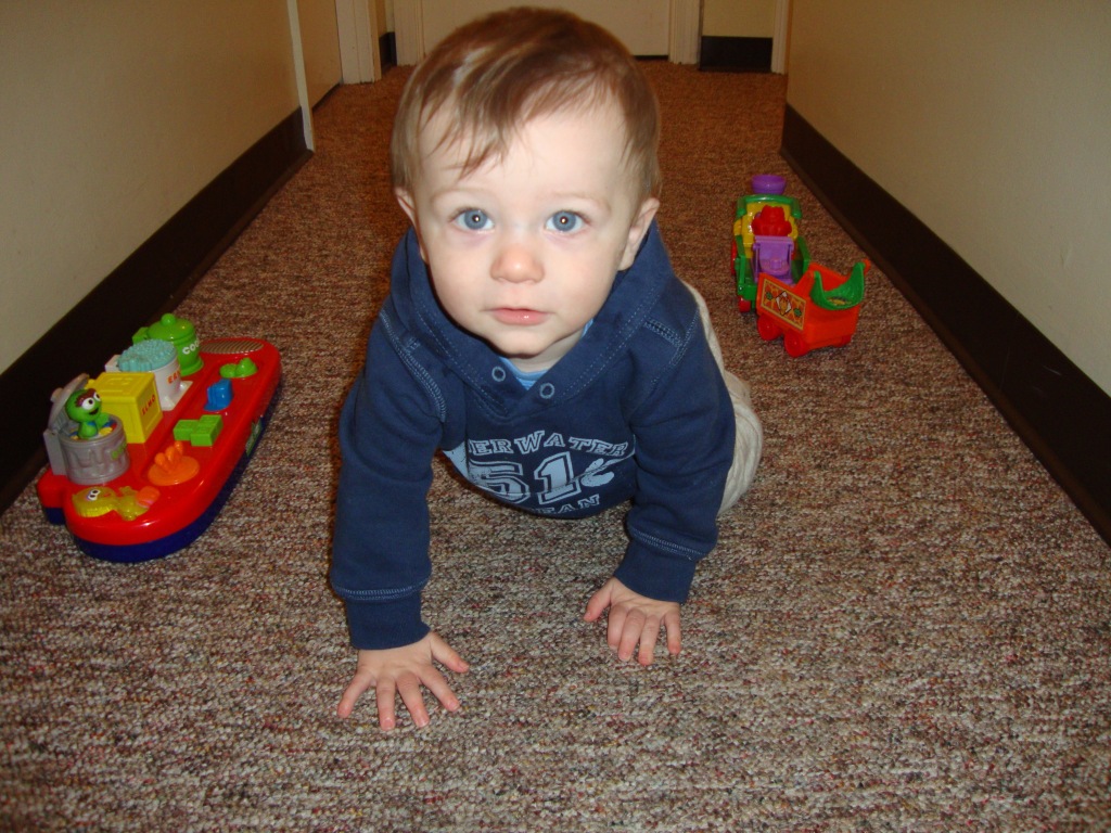 Crawling Baby Content to Crawl
