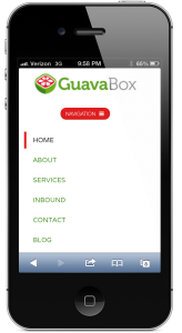 GuavaBox Mobile Marketing