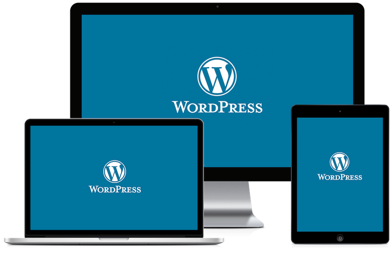 Optimized WordPress Web Design Services from GuavaBox
